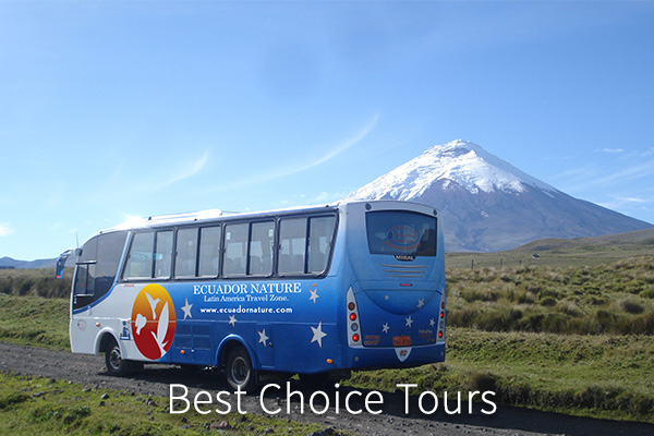best choice tours