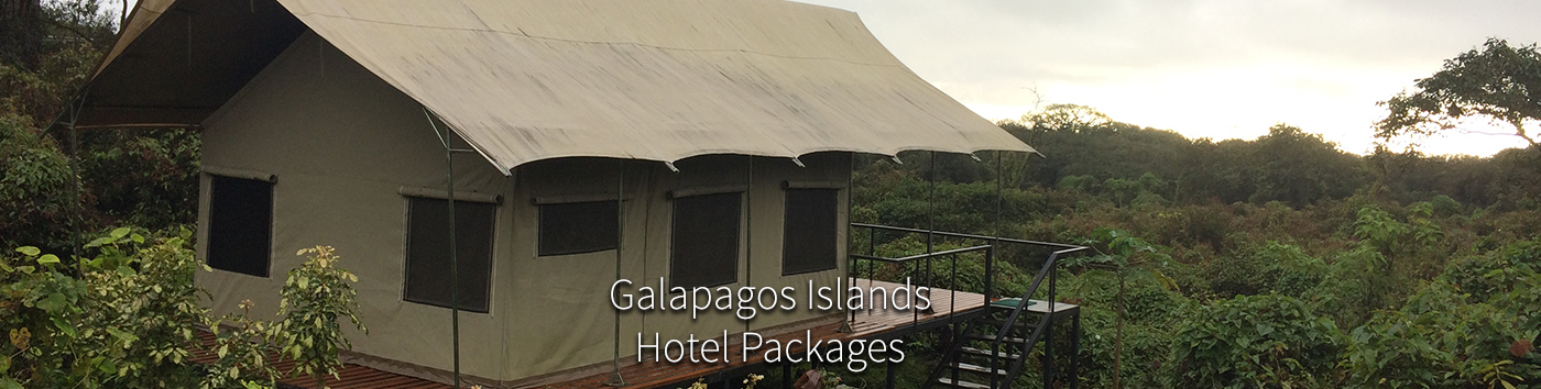 hotel packages